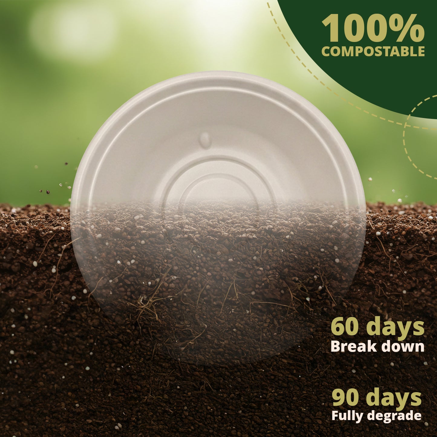 50-Pack Biodegradable Compostable Salad Bowls with Lids – Bagasse Bowls and PET Lids